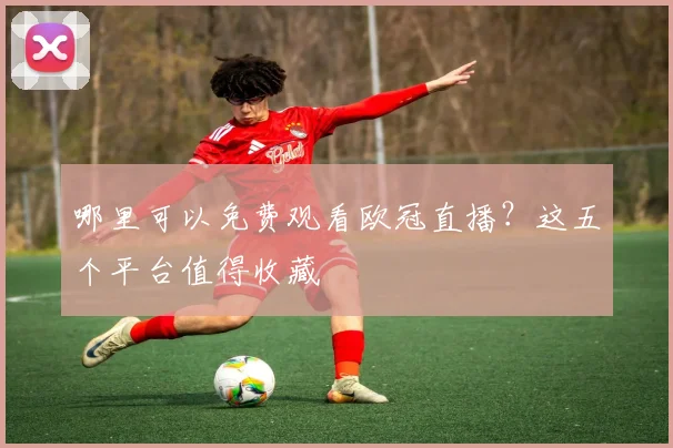哪里可以免费观看欧冠直播？这五个平台值得收藏