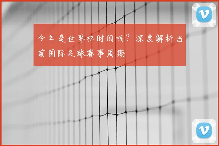 今年是世界杯时间吗？深度解析当前国际足球赛事周期