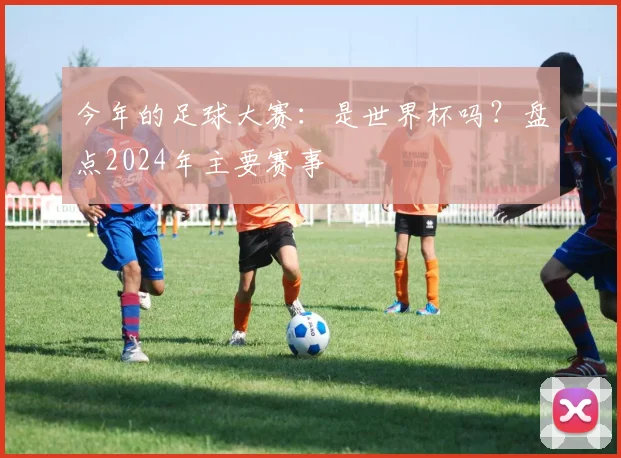今年的足球大赛：是世界杯吗？盘点2024年主要赛事