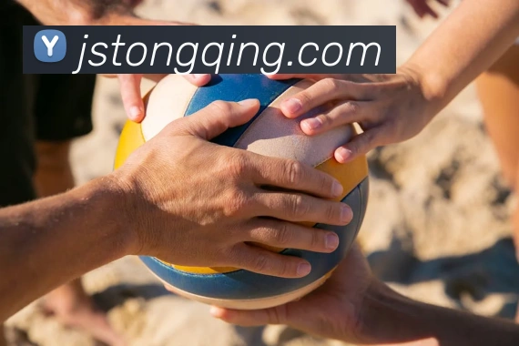 mksports在线登录入口平台生态图